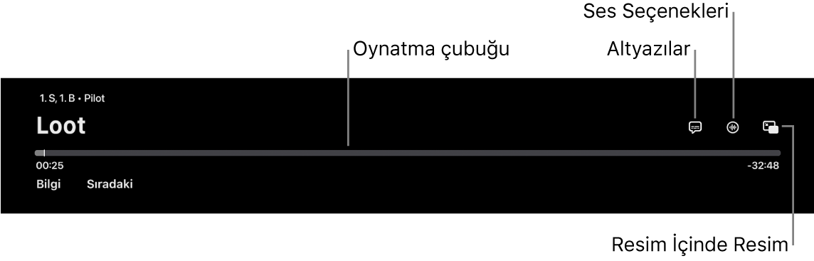 Oynatma denetimleri
