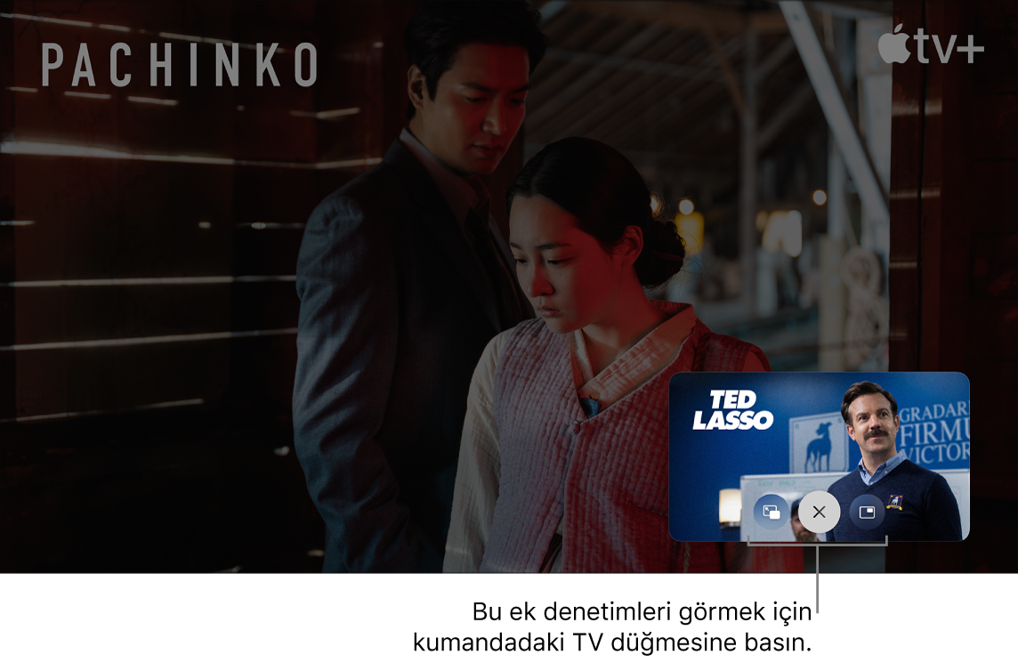 Ek Resim İçinde Resim denetimleri