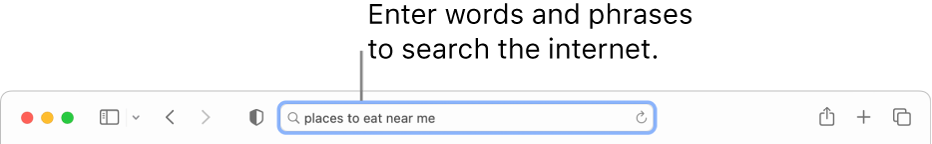 The Safari Smart Search field, where you can enter words and phrases to search the internet.