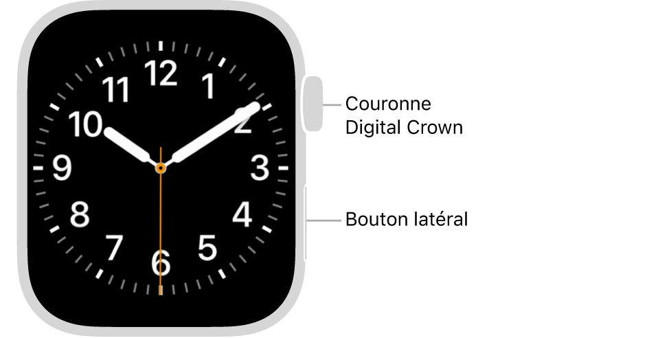 L’avant de l’Apple Watch, avec la Digital Crown en haut à droite de la montre et le bouton latéral en bas à droite.