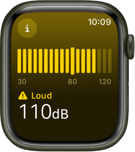 В приложении «Шум» указано, что уровень шума равен 110 дБ, и написано слово «Громко». Посередине экрана отображается шумомер.