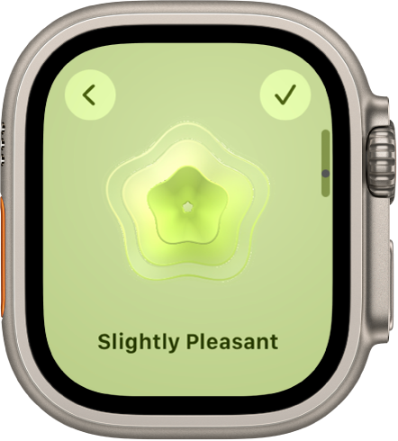 Apple Watch Ultra User Guide - Apple Support (IN)