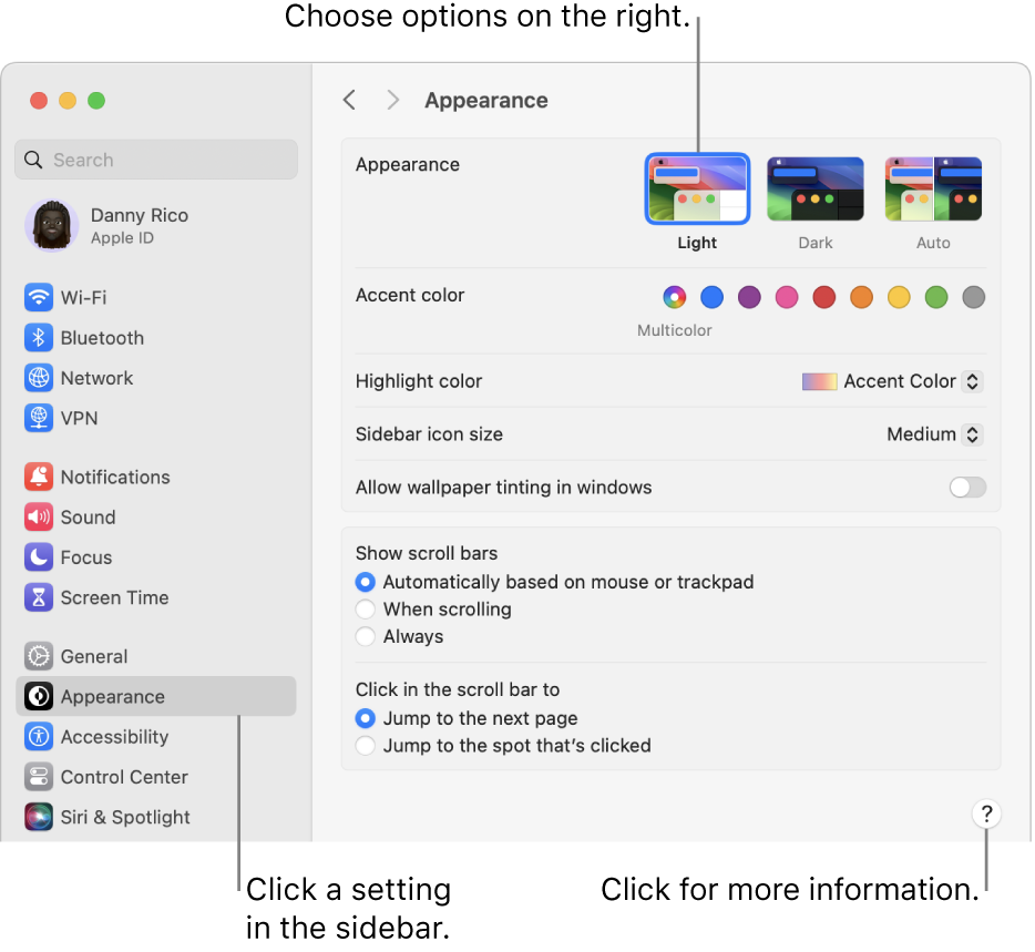 The System Settings window, with Appearance settings selected in the sidebar and Appearance options on the right.