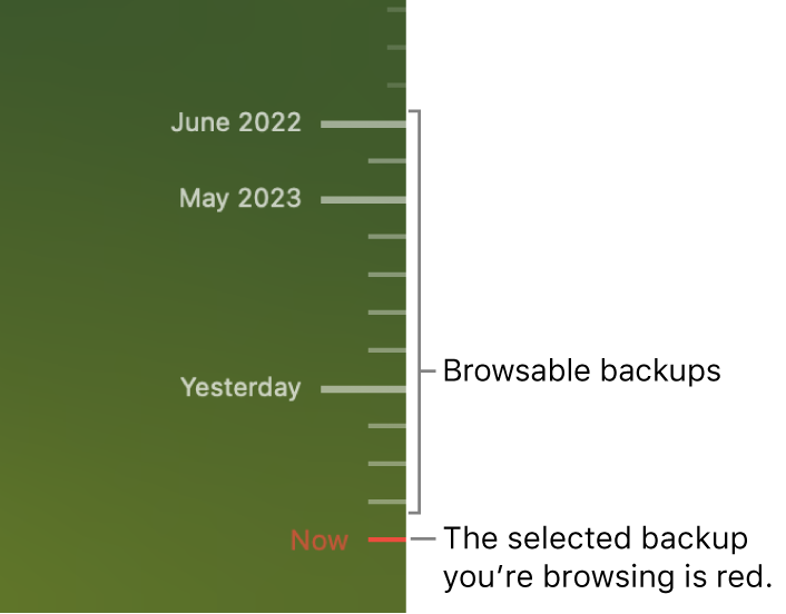 Tick marks in the backup timeline. The red tick mark indicates the backup you’re browsing.