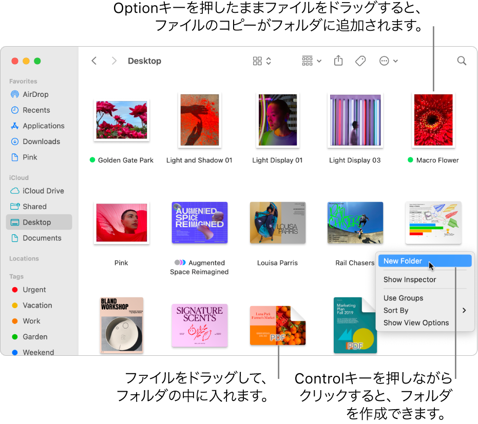 Macでファイルをフォルダに整理する - Apple サポート (日本)