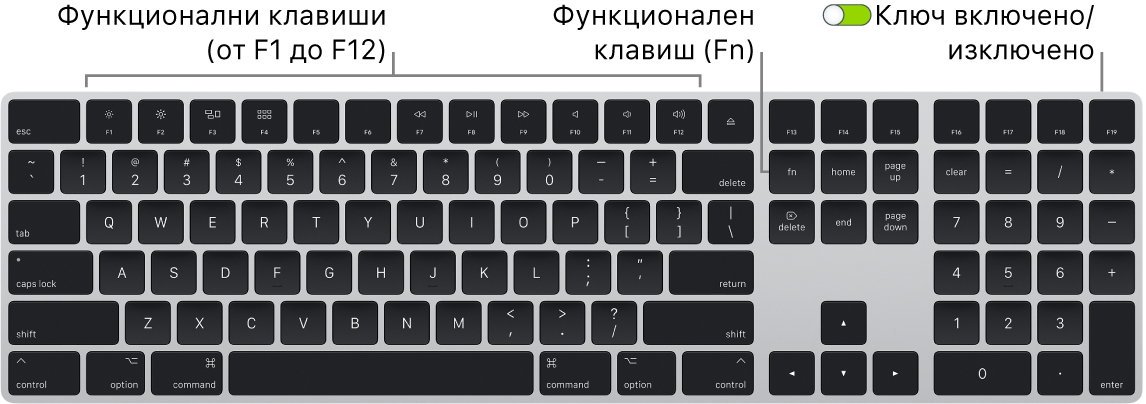 Клавиатура Magic Keyboard, показваща функционалния клавиш (Fn) в долния ляв ъгъл и преключвателя за включване/изключване в горния десен ъгъл на клавиатурата.