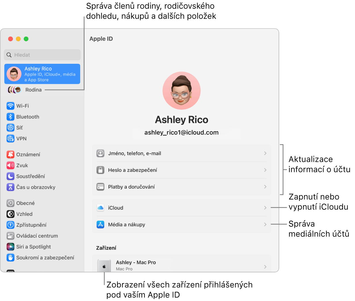 Panel Apple ID v Nastavení systému s popisky pro aktualizaci informací o účtu, zapnutí nebo vypnutí různých funkcí iCloudu a správu účtů pro média a u volby Rodina, která vám umožňuje spravovat členy rodiny, rodičovský dohled, nákupy a další položky