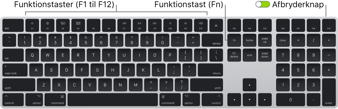 Magic Keyboard viser funktionstasten (Fn) i nederste venstre hjørne og afbryderknappen i øverste højre hjørne på tastaturet.