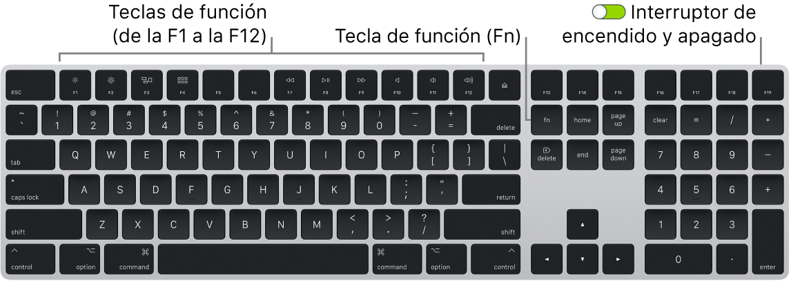 Teclado Magic Keyboard con la tecla de función (Fn) en la parte inferior izquierda y el interruptor de encendido/apagado en la esquina superior derecha del teclado.