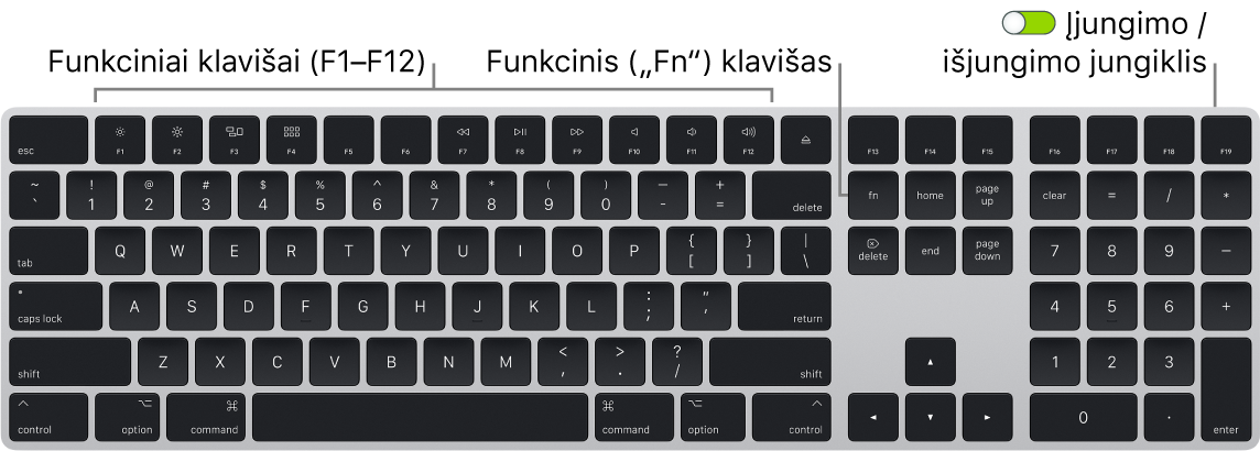 „Magic Keyboard“, apatiniame kairiajame klaviatūros kampe matosi klavišas „Function“ („Fn“), o viršutiniame dešiniajame kampe – įjungimo / išjungimo perjungiklis.