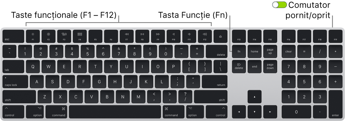 Magic Keyboard prezentând tasta Funcție (Fn) din colțul din stânga jos și comutatorul de pornire/oprire din colțul din dreapta sus a tastaturii.