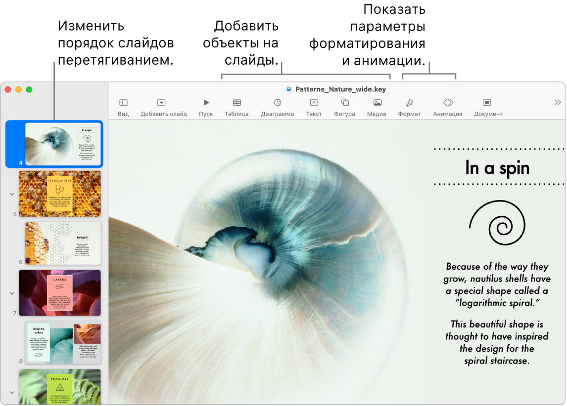 Окно Keynote. Слева показан навигатор слайдов, в котором пользователь меняет порядок слайдов. Вверху отображается панель инструментов с инструментами редактирования. Справа вверху расположена кнопка «Совместная работа», а справа — кнопки «Формат» и «Анимация».