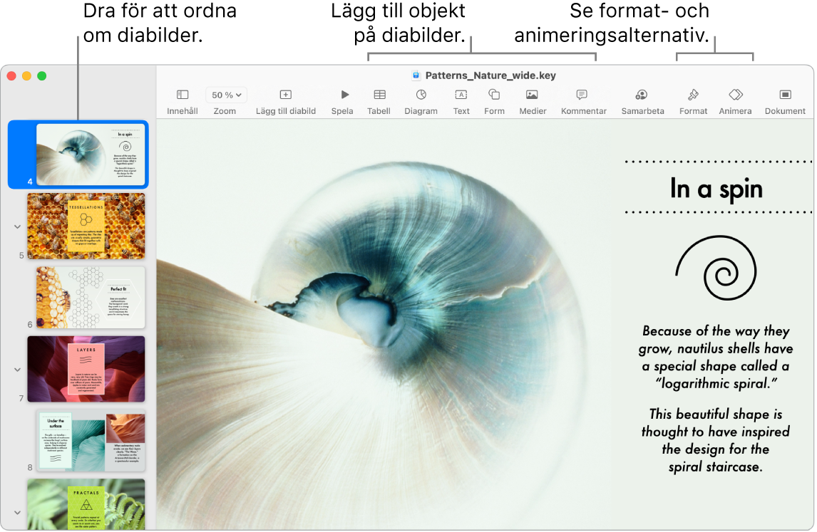 Ett Keynote-fönster som visar diabildsnavigatorn till vänster och hur du ordnar om diabilder, verktygsfältet med redigeringsverktyg överst, samarbetsknappen uppe till höger och knapparna för format och animering till höger.