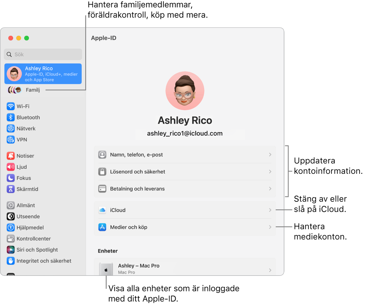 Apple‑ID-inställningarna i Systeminställningar med streck som pekar mot alternativ för att uppdatera kontoinformation, slå på eller stänga av iCloud-funktioner, hantera mediekonton och Familj där du kan hantera familjemedlemmar, föräldrakontroller, köp med mera.