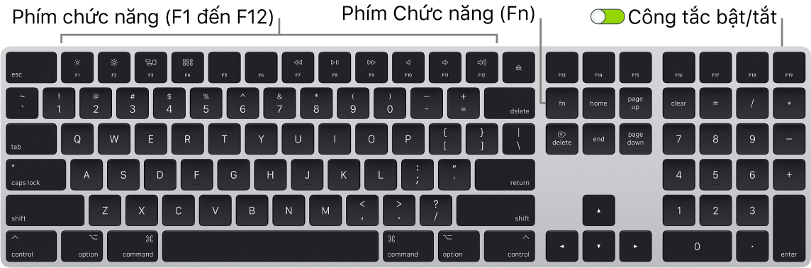 Magic Keyboard đang hiển thị phím Function (Fn) ở góc dưới cùng bên trái và công tắc bật/tắt ở góc phía trên bên phải của bàn phím.