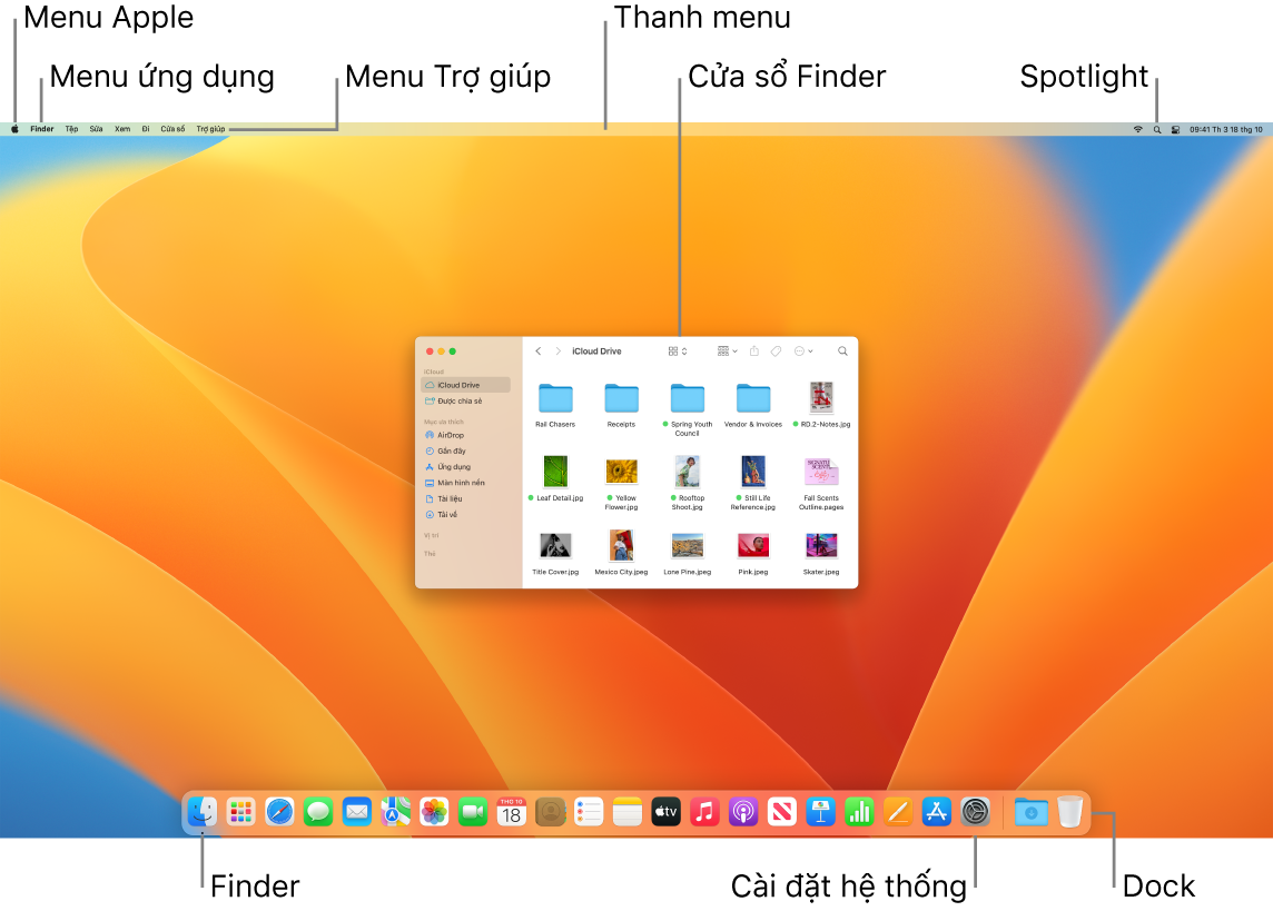 Một màn hình máy Mac đang hiển thị menu Apple, menu Ứng dụng, menu Trợ giúp, thanh menu, cửa sổ Finder, biểu tượng Spotlight, biểu tượng Finder, biểu tượng Cài đặt hệ thống và Dock.