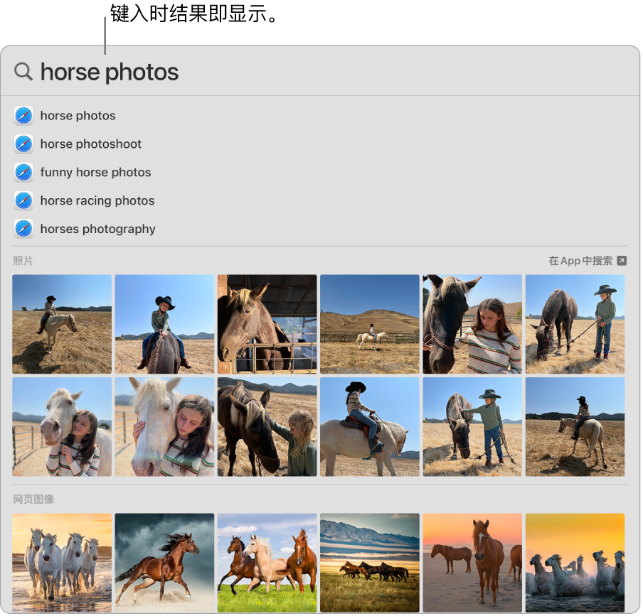 显示“马匹照片”搜索结果的“聚焦”窗口。