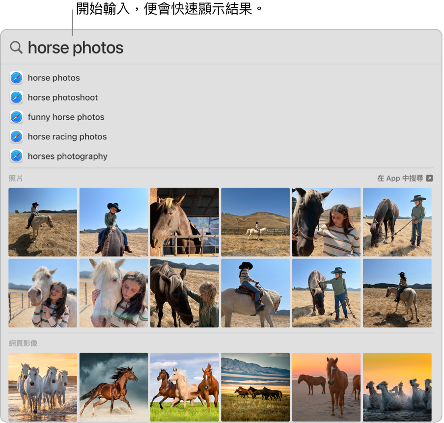Spotlight 視窗顯示「馬匹照片」的搜尋結果。