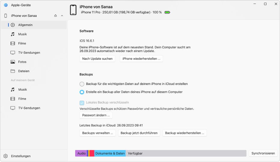 Das Hauptfenster von „Apple-Geräte“ mit „Software“, „Backup“ und weiteren Optionen.