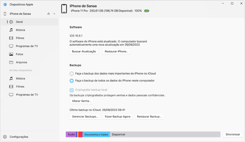 Janela principal de “Dispositivos Apple” mostrando o software, backup e outras opções.