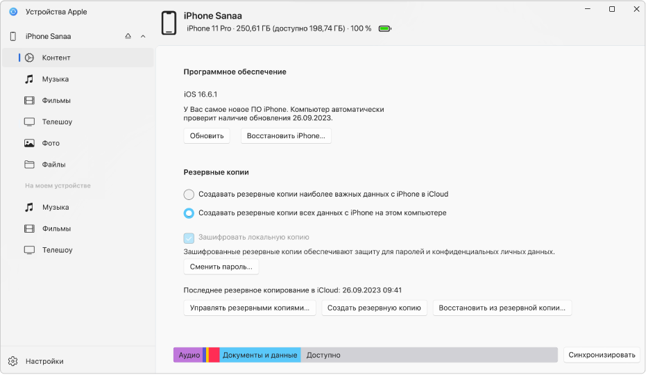 Устройство выбрано в боковом меню, в окне отображаются параметры синхронизации.