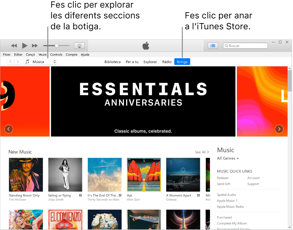 Finestra principal de l’iTunes Store: La botiga està ressaltada a la barra de navegació. Fes clic a la cantonada superior esquerra per veure els diferents continguts de la botiga (com ara “Música” o “TV”).