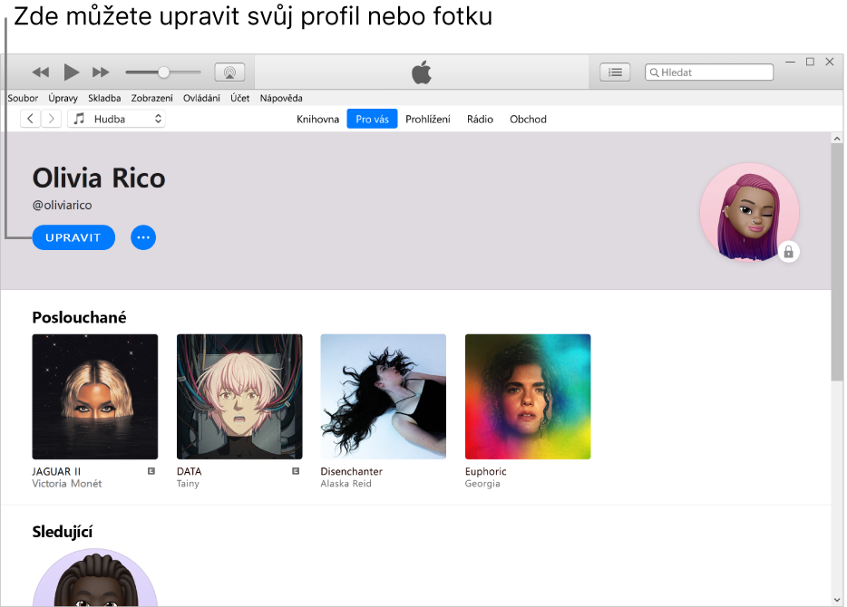 Profilová stránka v Apple Music: V levém horním rohu se pod vaším jménem nachází volba Upravit. Když na ni kliknete, můžete upravit svůj profil nebo fotografii.