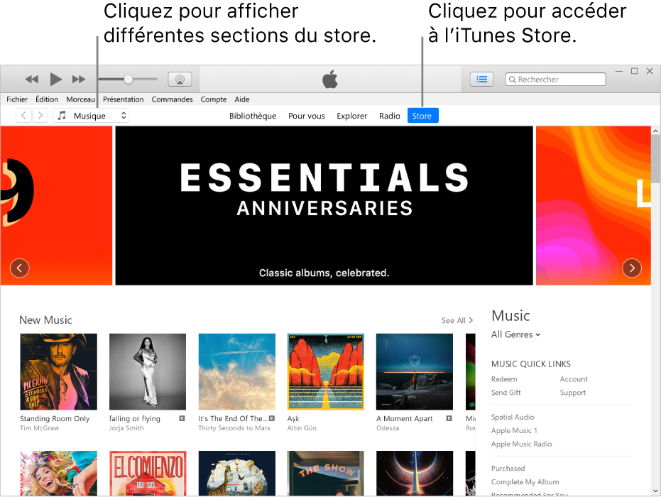 La fenêtre principale de l’iTunes Store : Dans la barre de navigation, Store est surligné. Dans le coin supérieur gauche, choisissez de voir différents contenus dans l’iTunes Store (par exemple Musique ou TV).