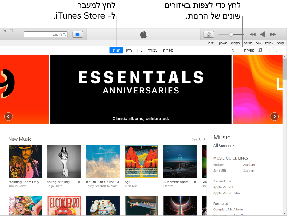 החלון הראשי של iTunes Store: בסרגל הניווט, האפשרות Store מודגשת. בפינה השמאלית העליונה, בחר להציג תוכן שונה ב‑Store (למשל ״מוזיקה״ או ״תכניות טלוויזיה״).