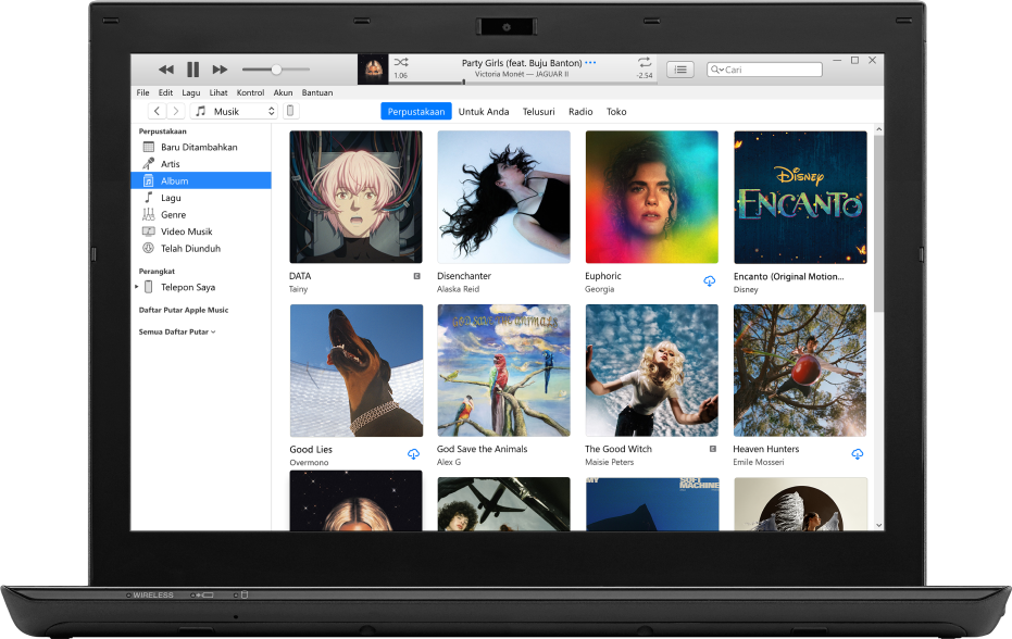 Jendela iTunes dengan perpustakaan yang berisi beberapa album.