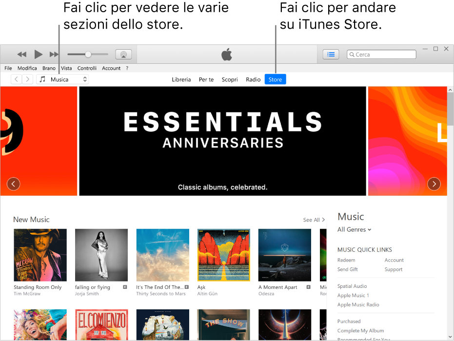 Finestra principale di iTunes Store: nella barra di navigazione, Store è evidenziato. Nell’angolo superiore sinistro, puoi scegliere di visualizzare contenuti diversi, ad esempio, musica o programmi TV.