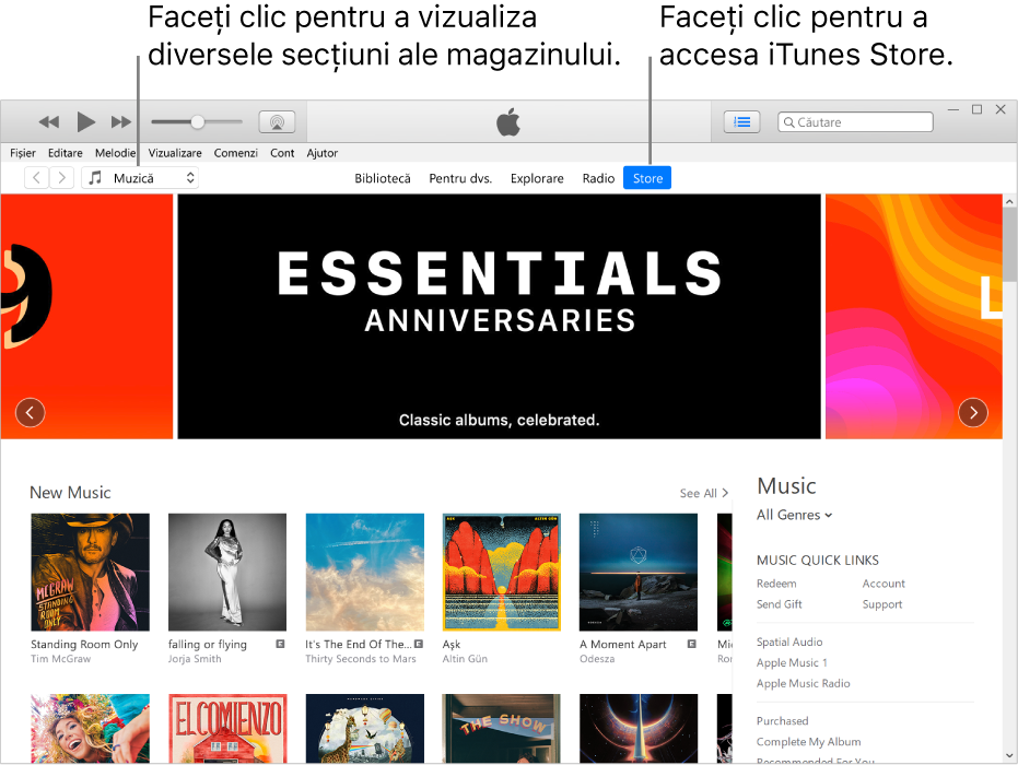 Fereastra principală iTunes Store: În bara de navigare, este evidențiat Store. În colțul din stânga sus, alegeți să vizualizați diferite tipuri de conținut în Store (cum ar fi Muzică sau Emisiuni TV).