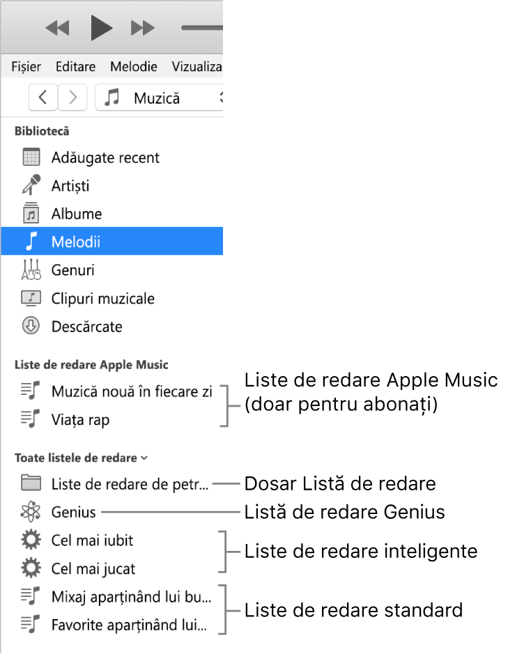 Bara laterală iTunes afișând diversele tipuri de liste de redare: Apple Music (doar abonații), liste de redare Genius, inteligente și standard, plus un folder cu liste de redare.
