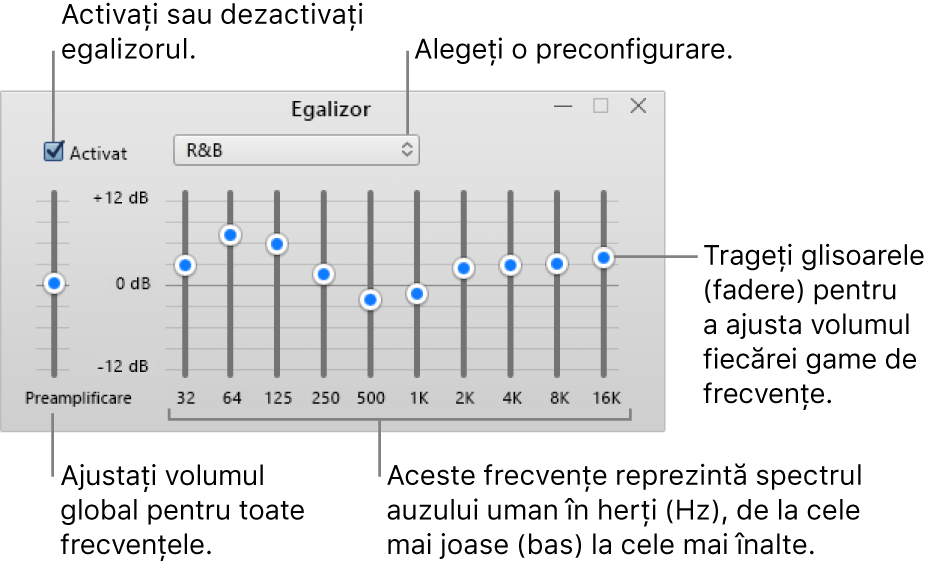 Fereastra Egalizor: Caseta de validare pentru activarea egalizorului iTunes se află în colțul din stânga sus. Lângă aceasta, se află meniul pop-up cu preconfigurările pentru egalizor. În partea stângă extremă, ajustați volumul general al frecvențelor cu preamplificatorul. Sub preconfigurările pentru egalizor, ajustați nivelul sunetului diferitelor intervale de frecvență care reprezintă spectrul auzului uman de la cel mai jos până la cel mai ridicat.