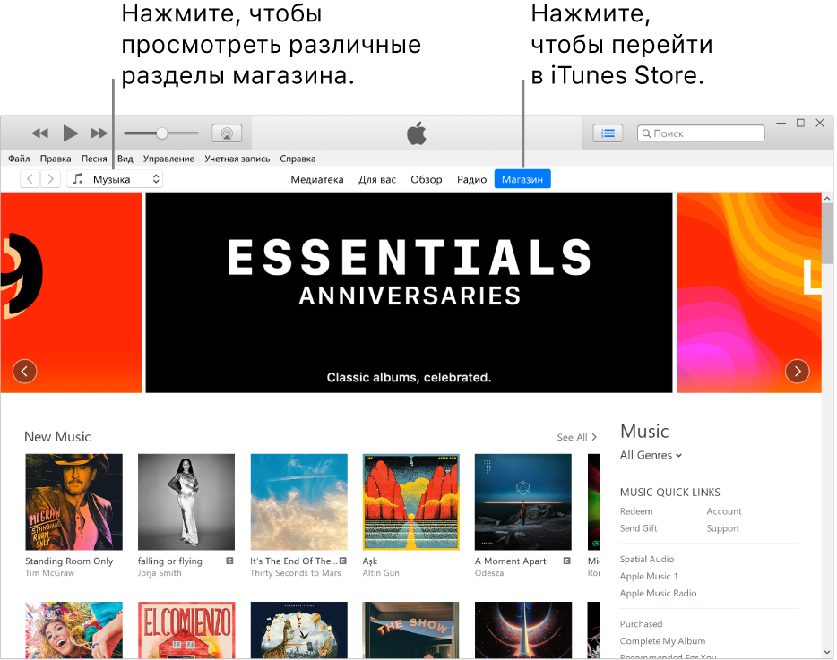 Главное окно iTunes Store. В панели навигации выделена надпись «Магазин». В левом верхнем углу можно выбрать разные типы просматриваемого в магазине контента (например, музыку или телешоу).