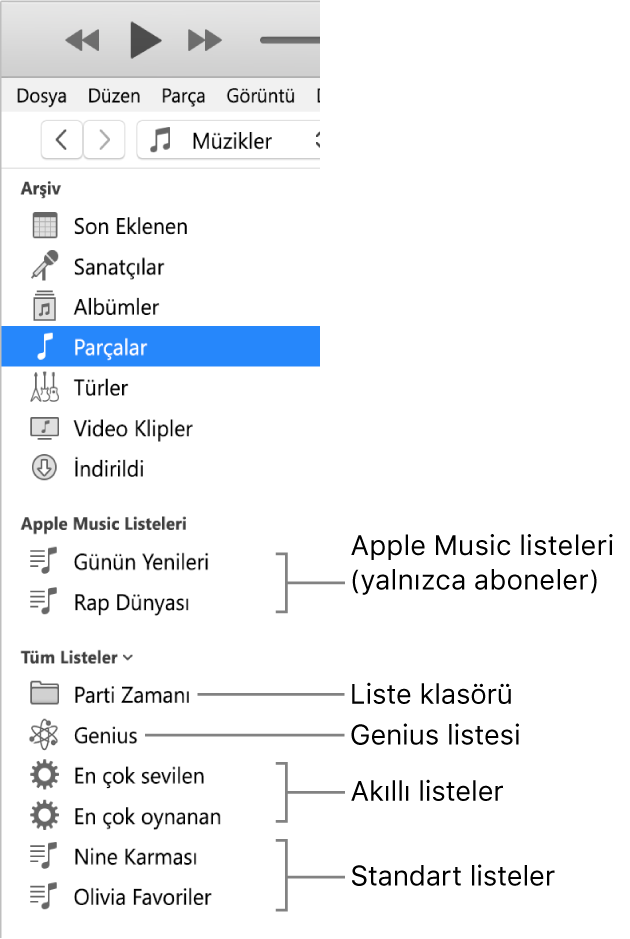 Listelerin çeşitli türlerini gösteren iTunes kenar çubuğu: Apple Music (yalnızca aboneler), Genius, Smart listeleri ve standart listeler ile bir liste klasörü.