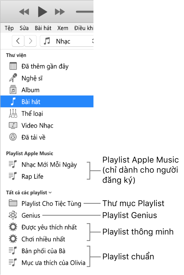 Thanh bên iTunes đang hiển thị các loại playlist khác nhau: Playlist Apple Music (dành riêng cho người đăng ký), Genius, thông minh và thông thường cộng với thư mục playlist.