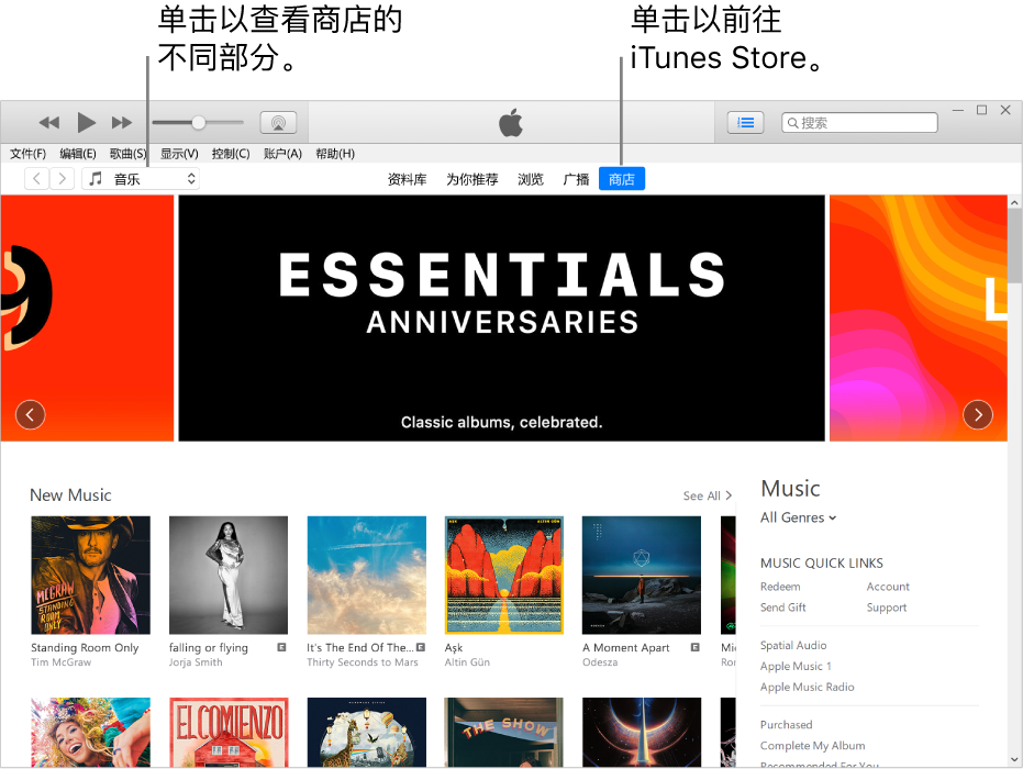 iTunes Store 主窗口：在导航栏中，“商店”被高亮显示。在左上角中，选取以查看商店中的不同内容（如音乐或电视）。
