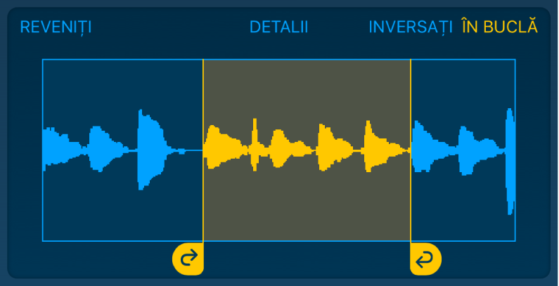 Conținutul audio dintre mânerele buclă din stânga și din dreapta este redat în buclă.