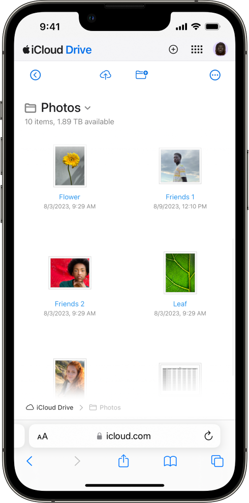 An iCloud Drive folder called “Desktop” contains photos and presentations.
