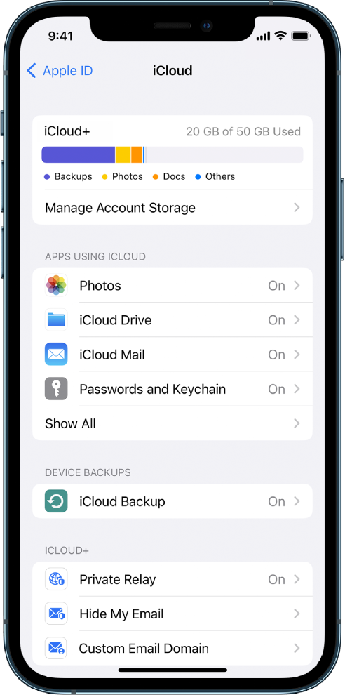 The Settings screen with iCloud features turned on.