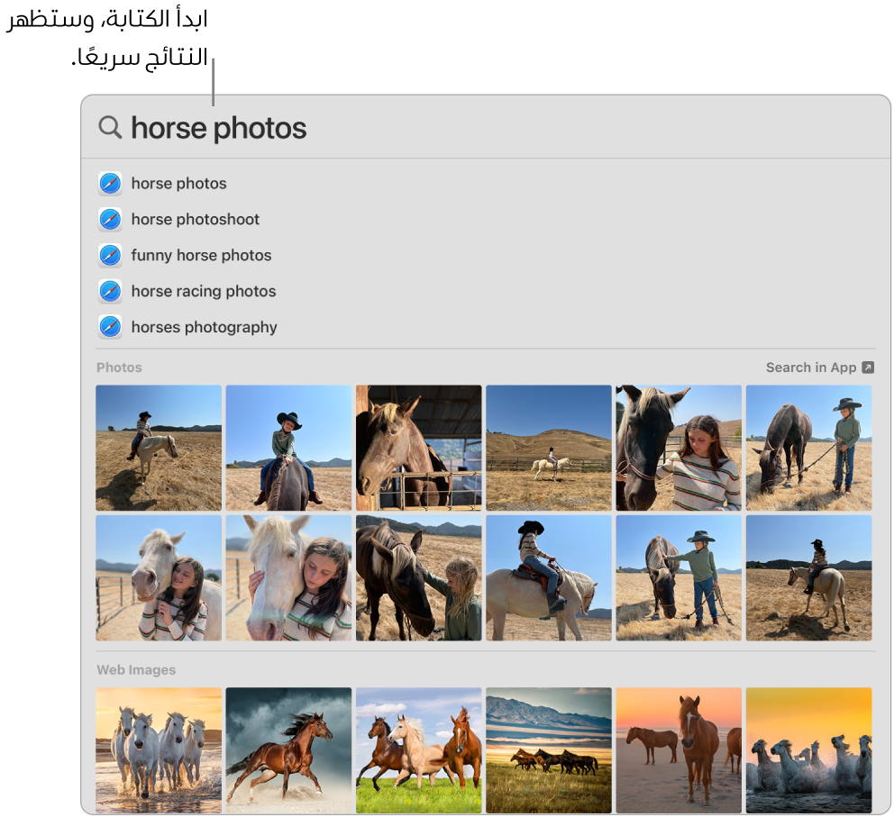 نافذة الباحث تعرض نتائج البحث عن "صور الخيول".