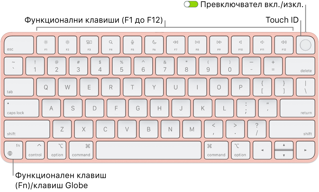 Клавиатурата Magic Keyboard с Touch ID, която показва редицата с функционални клавиши, Touch ID в горния край и клавиша Function (Fn)/Globe в долния ляв ъгъл.