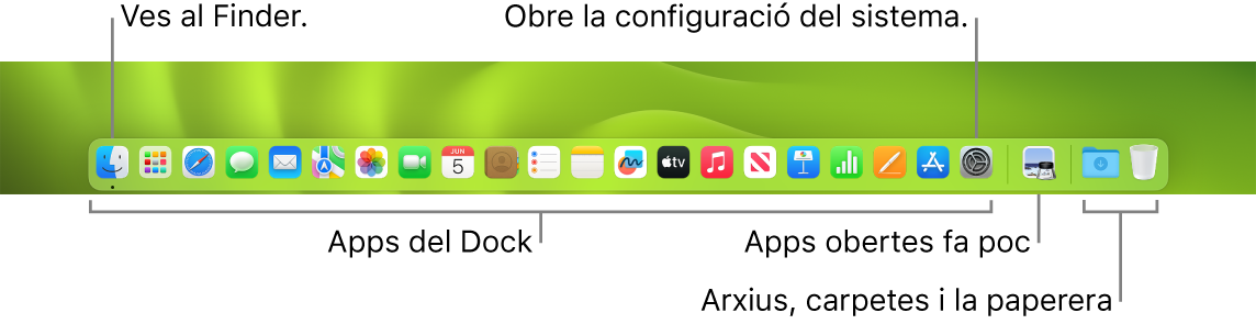 El Dock amb el Finder, l’app Configuració de Sistema i la línia del Dock que divideix les apps dels arxius i les carpetes.