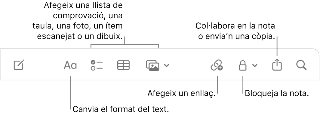 La barra d’eines de l’app Notes amb les llegendes de les eines de format de text, llista de verificació, taula, enllaç, fotos/multimèdia, bloqueig, compartir i enviament de còpia.