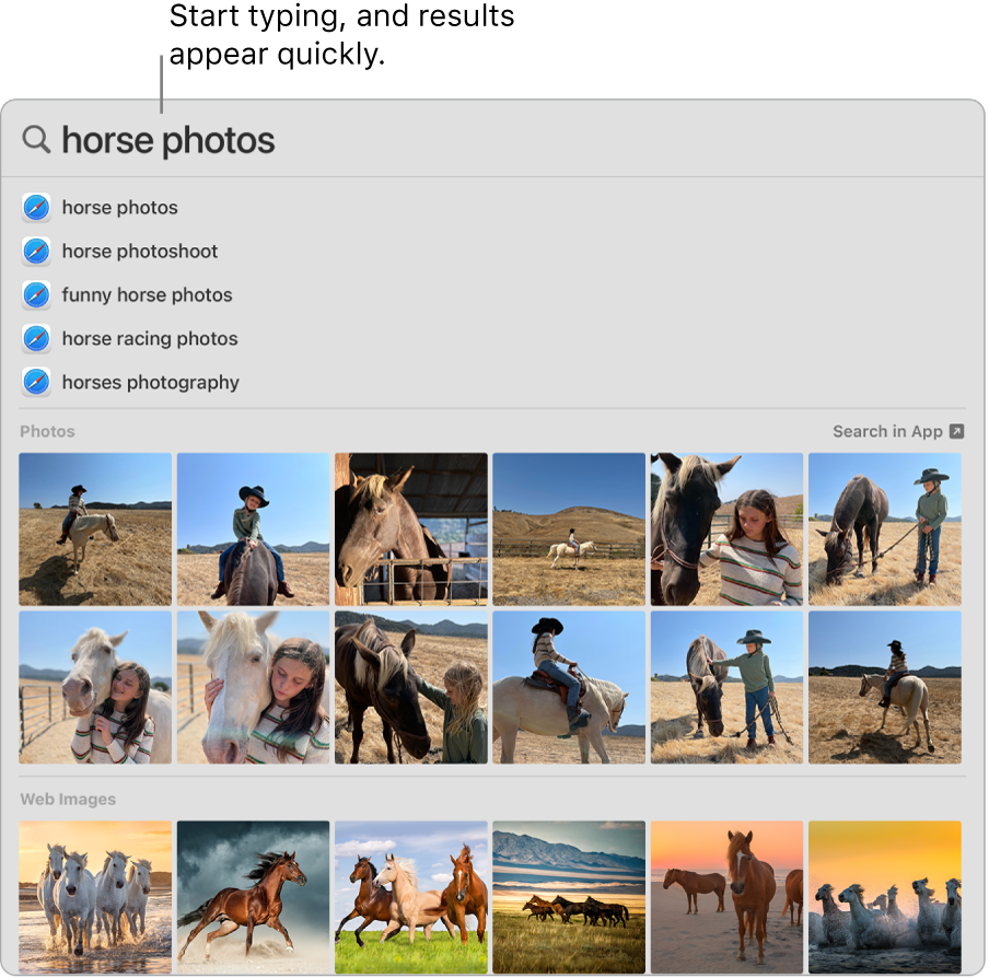 The Spotlight window showing search results for “horse photos.”