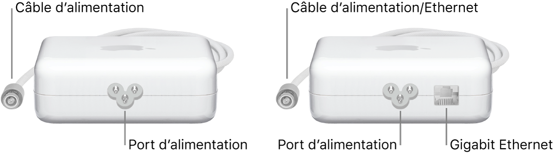 Un adaptateur secteur sans port Ethernet et un adaptateur secteur avec un port Ethernet.