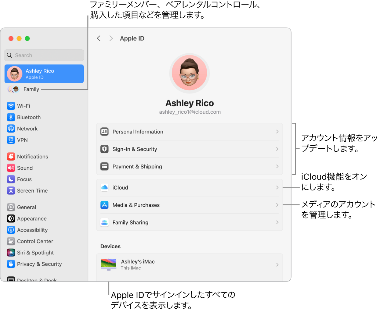 「システム設定」の「Apple ID」設定。アカウント情報のアップデート、iCloud機能のオン/オフ、メディアアカウントの管理と、ファミリーメンバー、ペアレンタルコントロール、購入などを管理できる「ファミリー」へのコールアウトがあります。