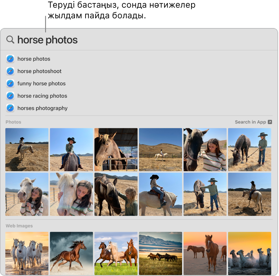 «Horse photos» үшін іздеу нәтижелерін көрсетіп тұрған Spotlight терезесі.