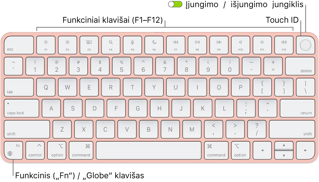 „Magic Keyboard“ su „Touch ID“, viršuje matosi funkcinių klavišų eilė, „Touch ID“, o apatiniame kairiajame kampe – klavišas „Function“ („Fn“) / „Globe“.